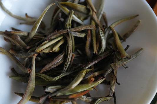 Da Bai Cha (Yunnan Jinggu)